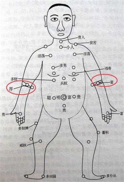 手臂痣图解|手臂痣的位置与命运图解